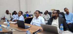 Somalia National Disability Inclusion Strategy